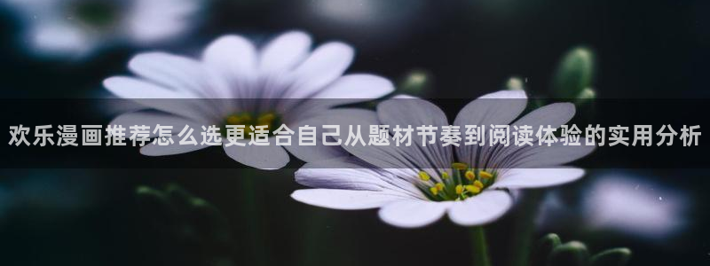 51漫画网页版入口