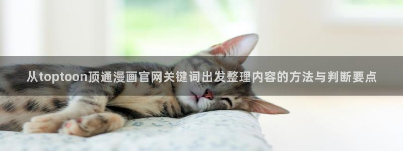 51漫画在线：从toptoon顶通漫画官网关键词出发整理内容的方法与判断要点